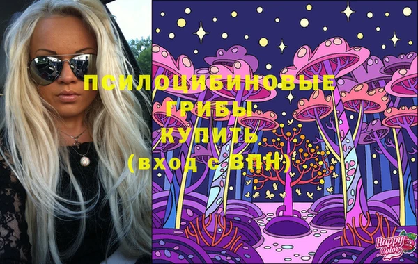 СК Дмитриев