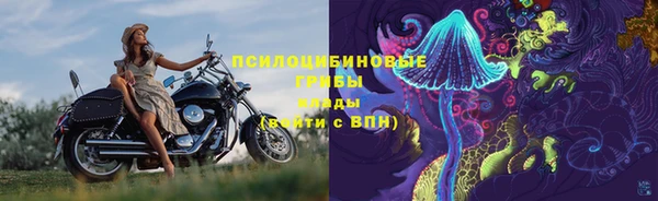 СК Дмитриев