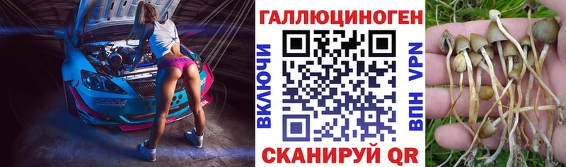 где купить наркотик  Урюпинск  Галлюциногенные грибы MAGIC MUSHROOMS 